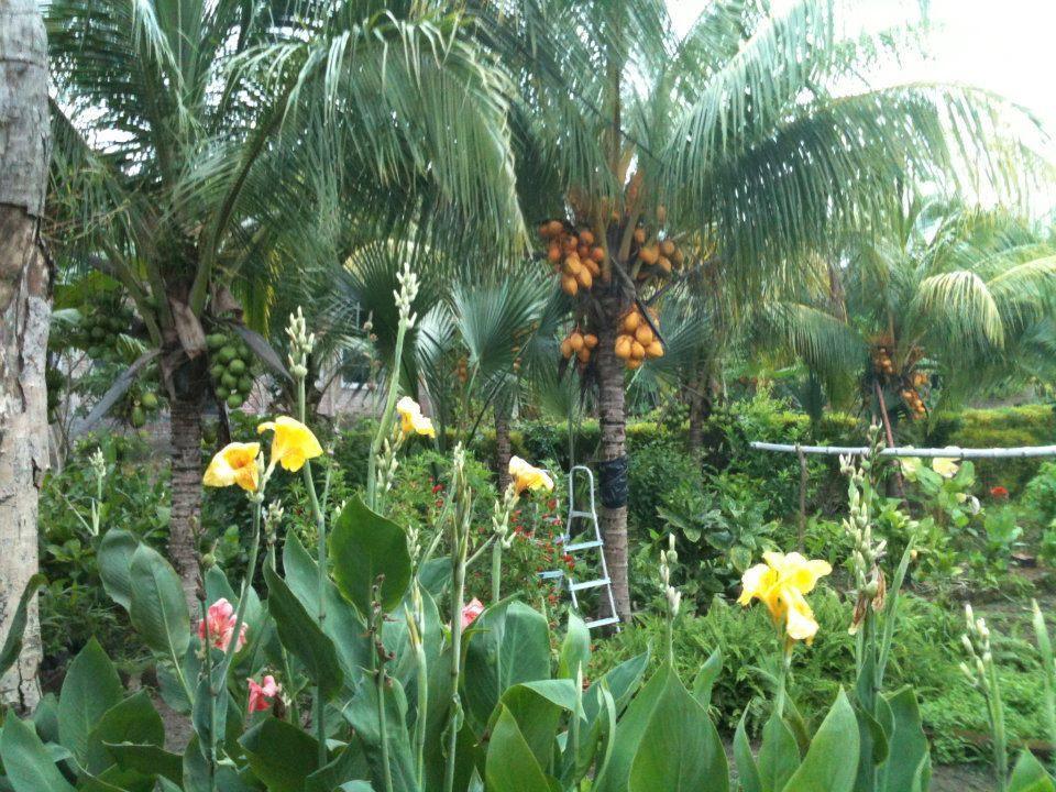 Hotel El Mirador Ecológico, Ometepe Altagracia Exterior foto